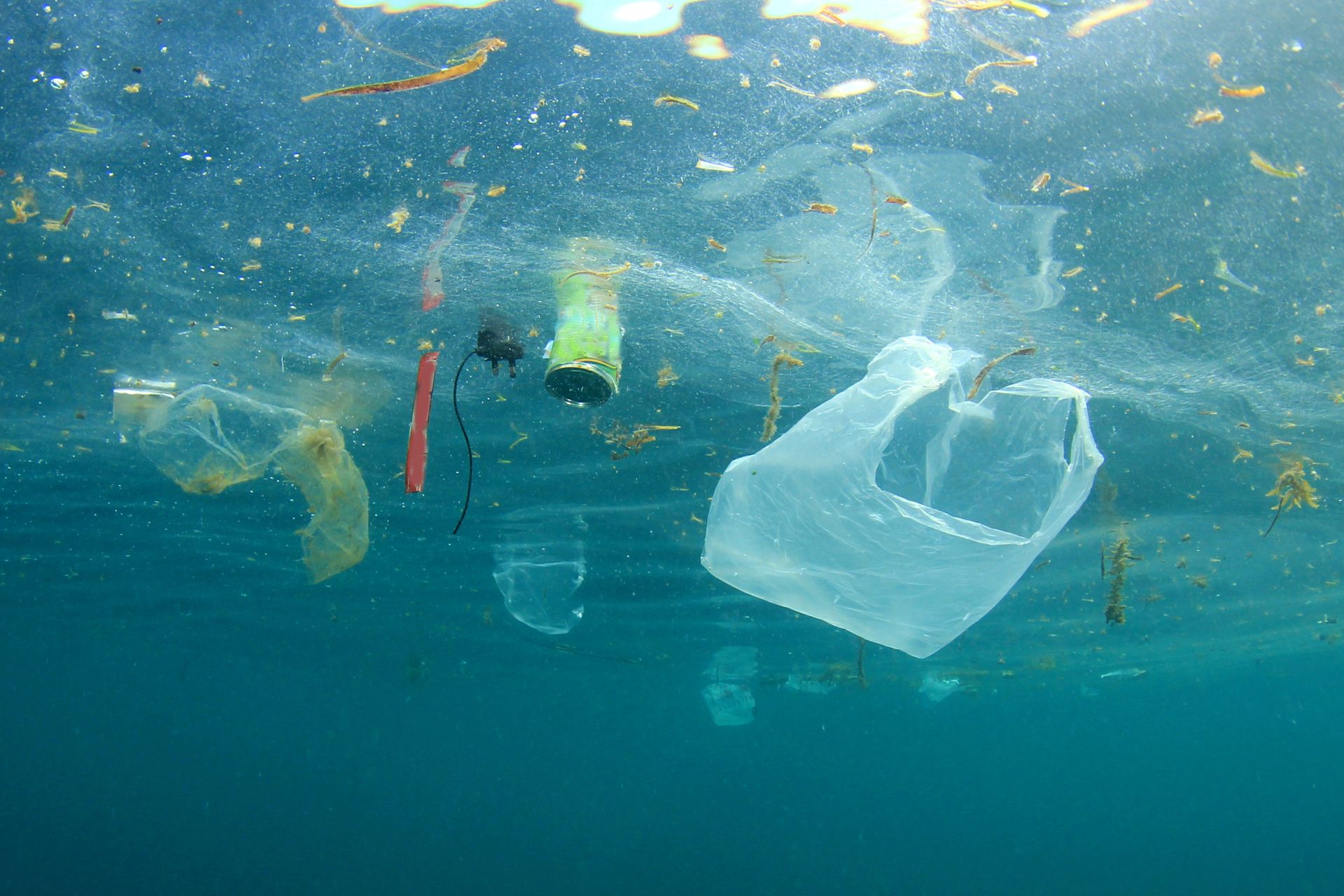 Plastikverschmutzung