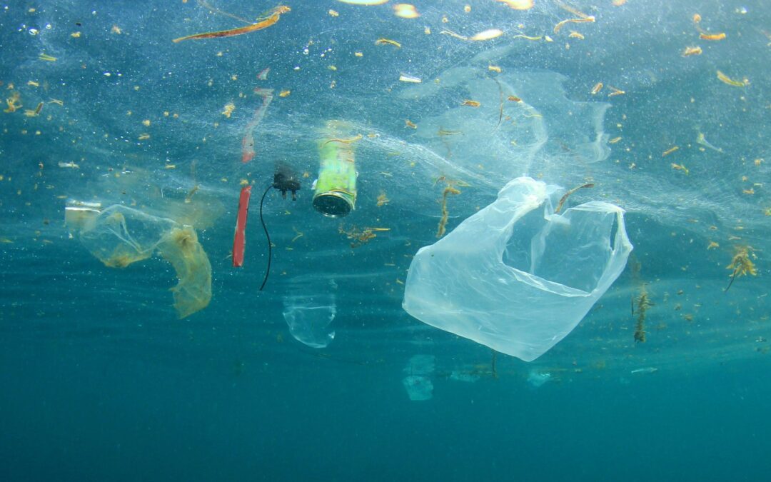 Plastikverschmutzung bekämpfen: Vom Abfallproblem zur gemeinwohlorientierten Kunststoffwende